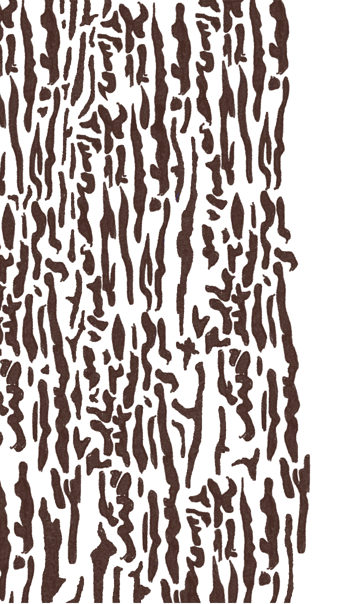 Bark_mønster_hvid_bg